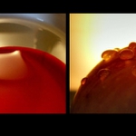 Story from the kitchen