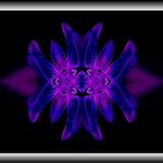 velver