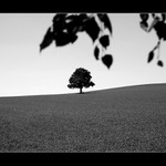 ...monochromní pohledy...