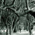 Lehký přikrčený volking