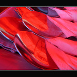 Red Bager..