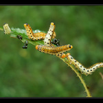 Dámy, tady se nedá vydržet!