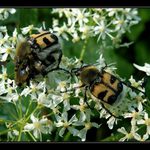 Zbyly mu jen oči pro pláč