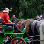 Soulad a vyrovnanost