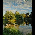 pond