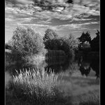 pond BW