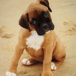 pozor, sem děsně zlej