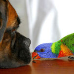 hele, nech mi taky něco, jo?