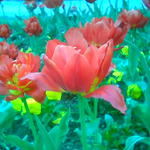 tohle umí jen můj mobil..