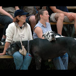 ...ti říkám nechápu co na tom sportu ti lidi viděj...