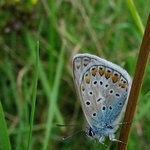 sedí na dvou židlích