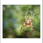  ... bude dnes večeře?