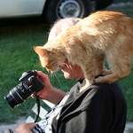 Hmm, dobrý to máš!