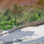 Please, don\'t disturb !