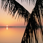 Tampa Bay