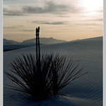 White Sands 2