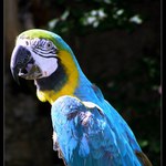 Proboha, hlavně mě NEFOŤ!!!