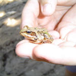 nájdená len tak na prechádzke na Donovaloch