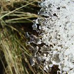 Mráz už natahuje drápky.....