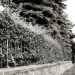 vzpomínky z dětství