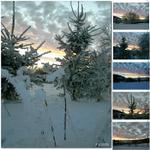 moje nej WINTER cerfanky