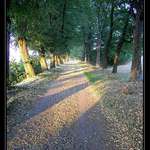 sunny way