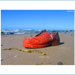 lost sailor\'s shoe