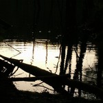 Mrtvé jezero u Trutnova