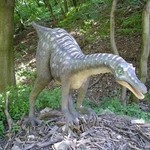Ornitomimus