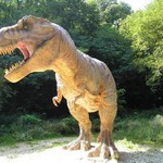 Tyrannosaurus rex