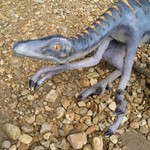 Predátor