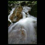 Prunéřovský potok zblízka