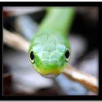 OČI PLNÉ STRACHU...