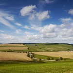 rozfúkaná krajina III.