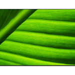 Nepopísaný list...