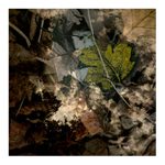 *** Ztráty a nálezy ***