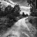 Šumavská cestička