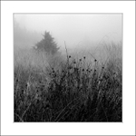 Krušnohorské zátiší