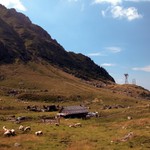 *** R O M A N I A - In the country III ***