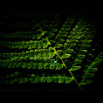 ***KRŮPĚJ NADĚJE***