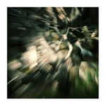 ve spárech (zl)obra...