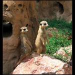 Brácho, na slunce moc nechoď!