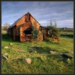 Splynutí s přírodou