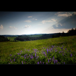 ...z toulek po Čechách...