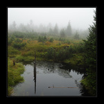 Ráno v Jizerských horách