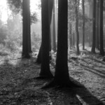 ..a další z toho neděleho ráno...