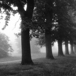 ..a z toho místa...