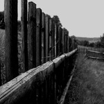 podél plotu až k vrátkům na konci jsem šel