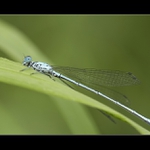 ...já Tě vidím...