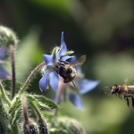 Hele koukej vypadnout !